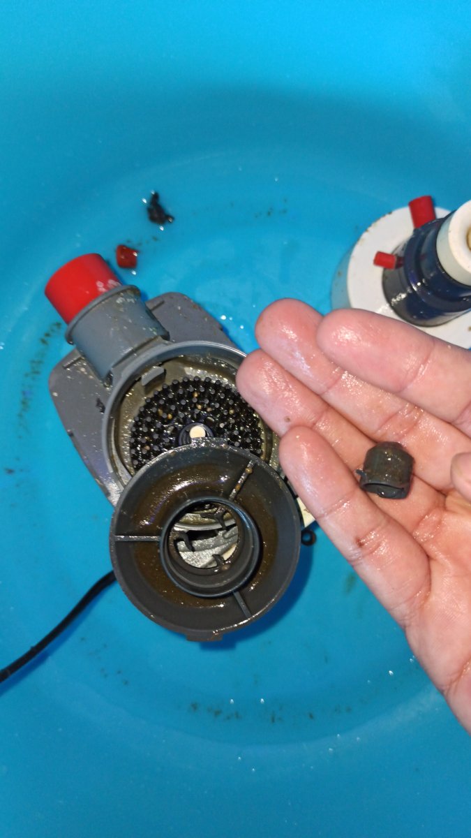 how do I know if my pump impeller is bad REEF2REEF Saltwater and Reef