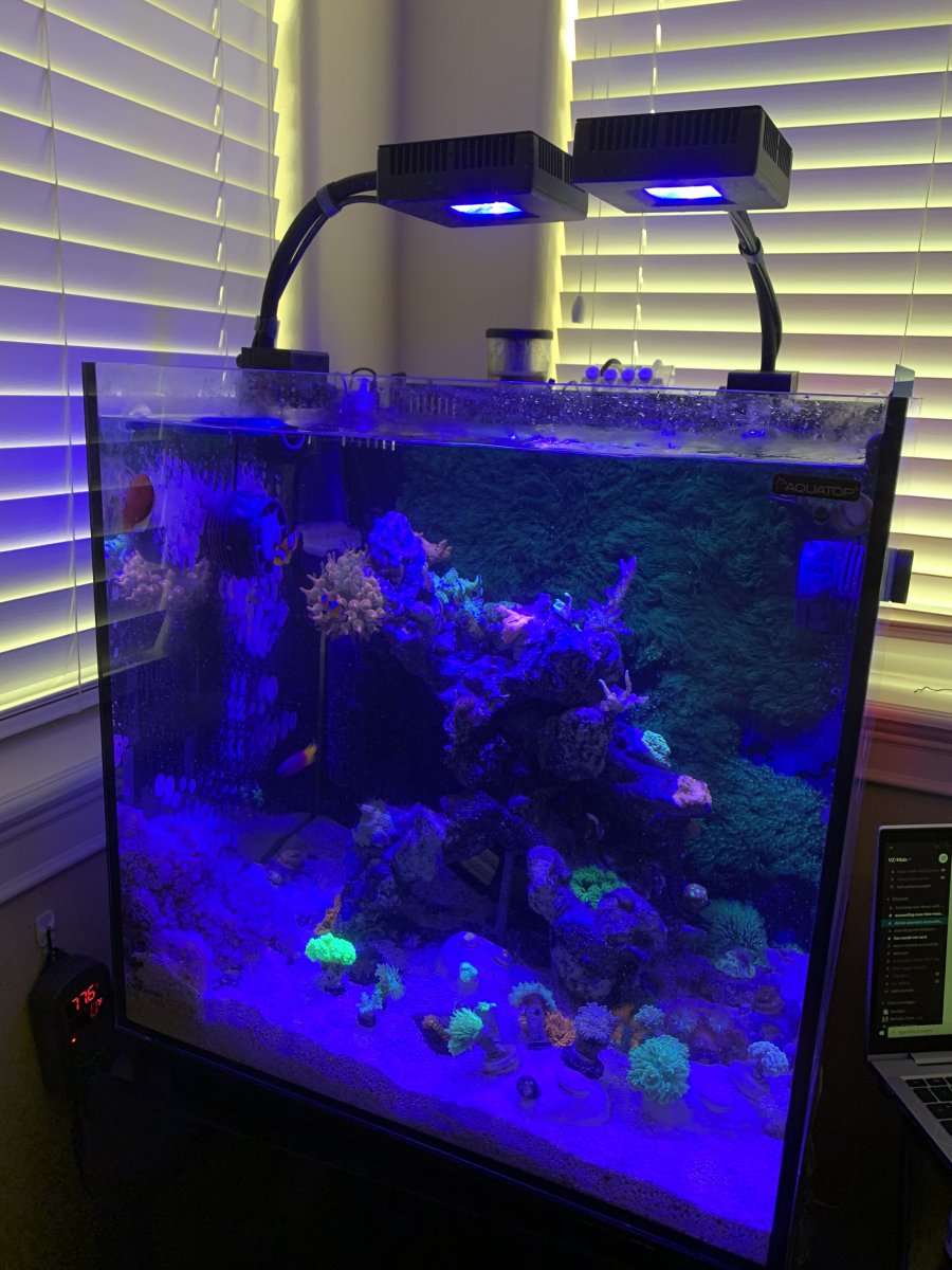 Current aquarium lighting sales