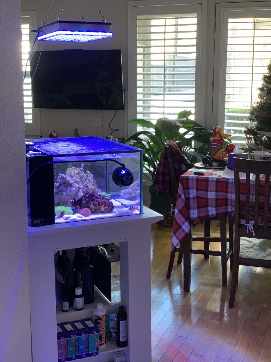 IMG-9471.jpg