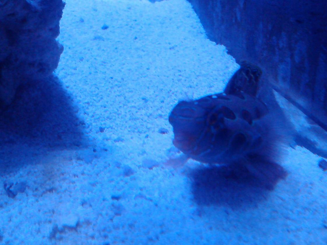 IMG134.jpg