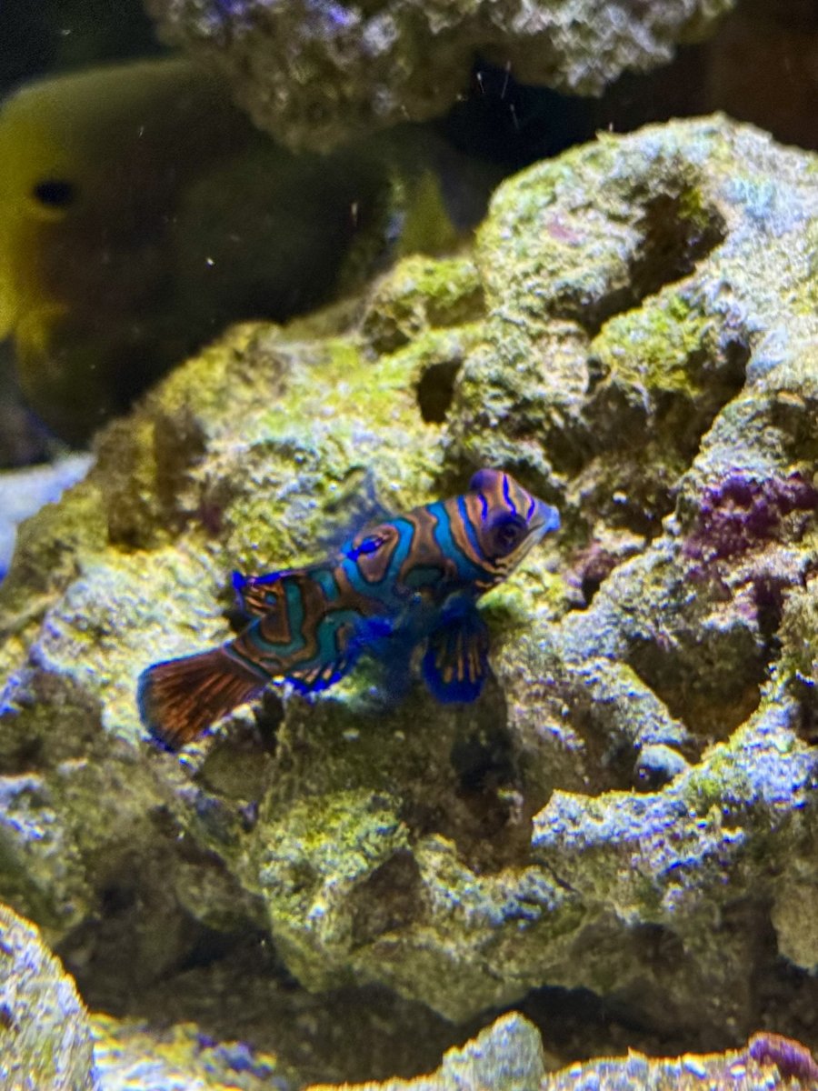 Build Thread - 270 Gallon 