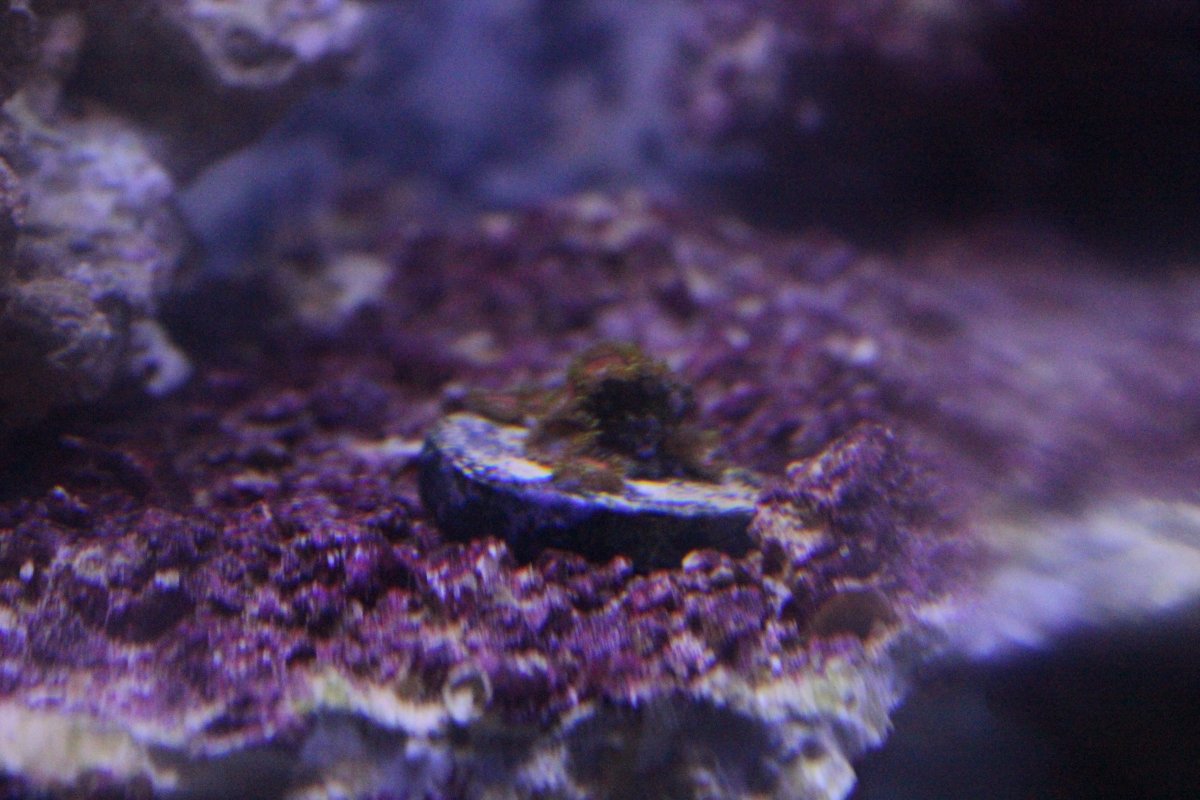IMG_0003.JPG