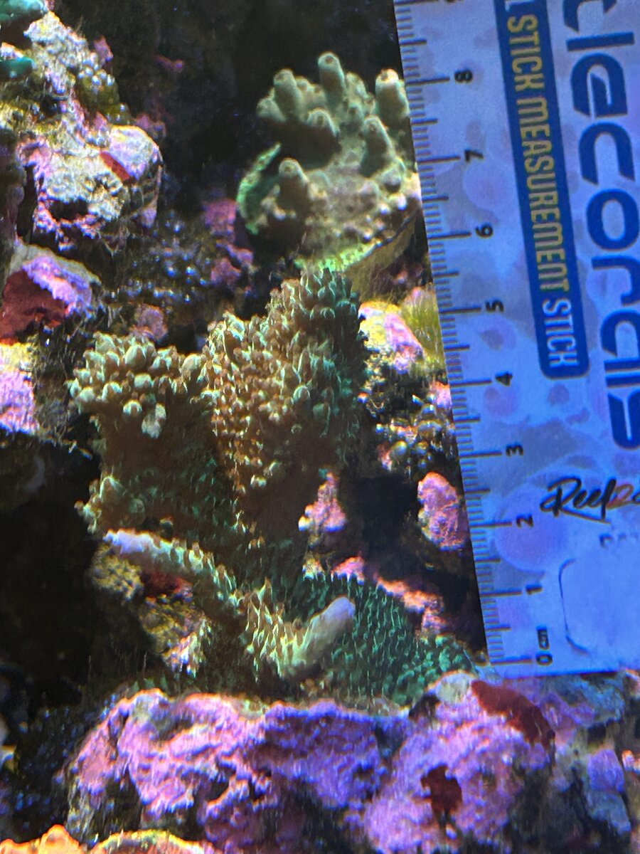 IMG_0004.jpeg