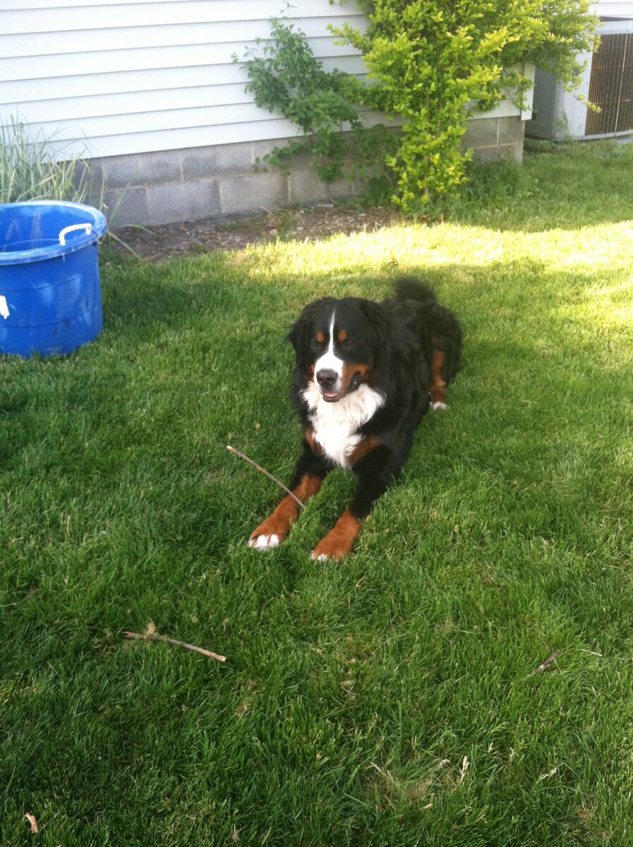 IMG_0004.jpeg
