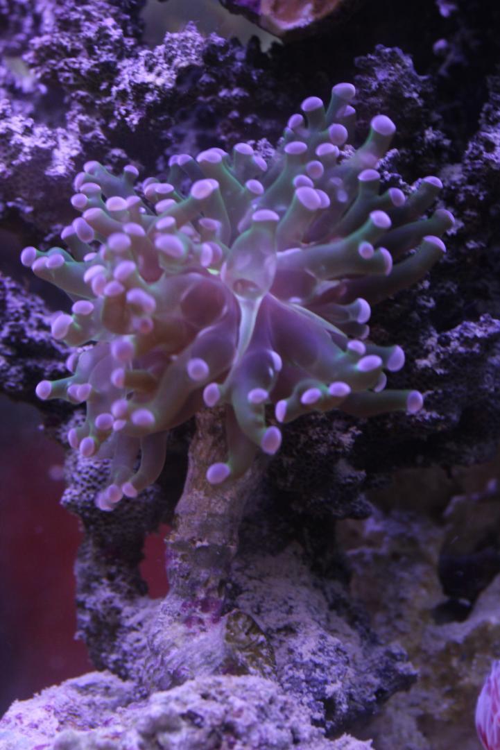 IMG_0006.jpg