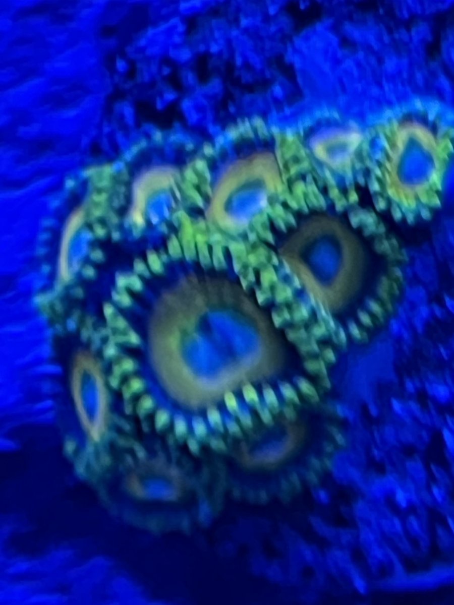 IMG_0010.jpeg