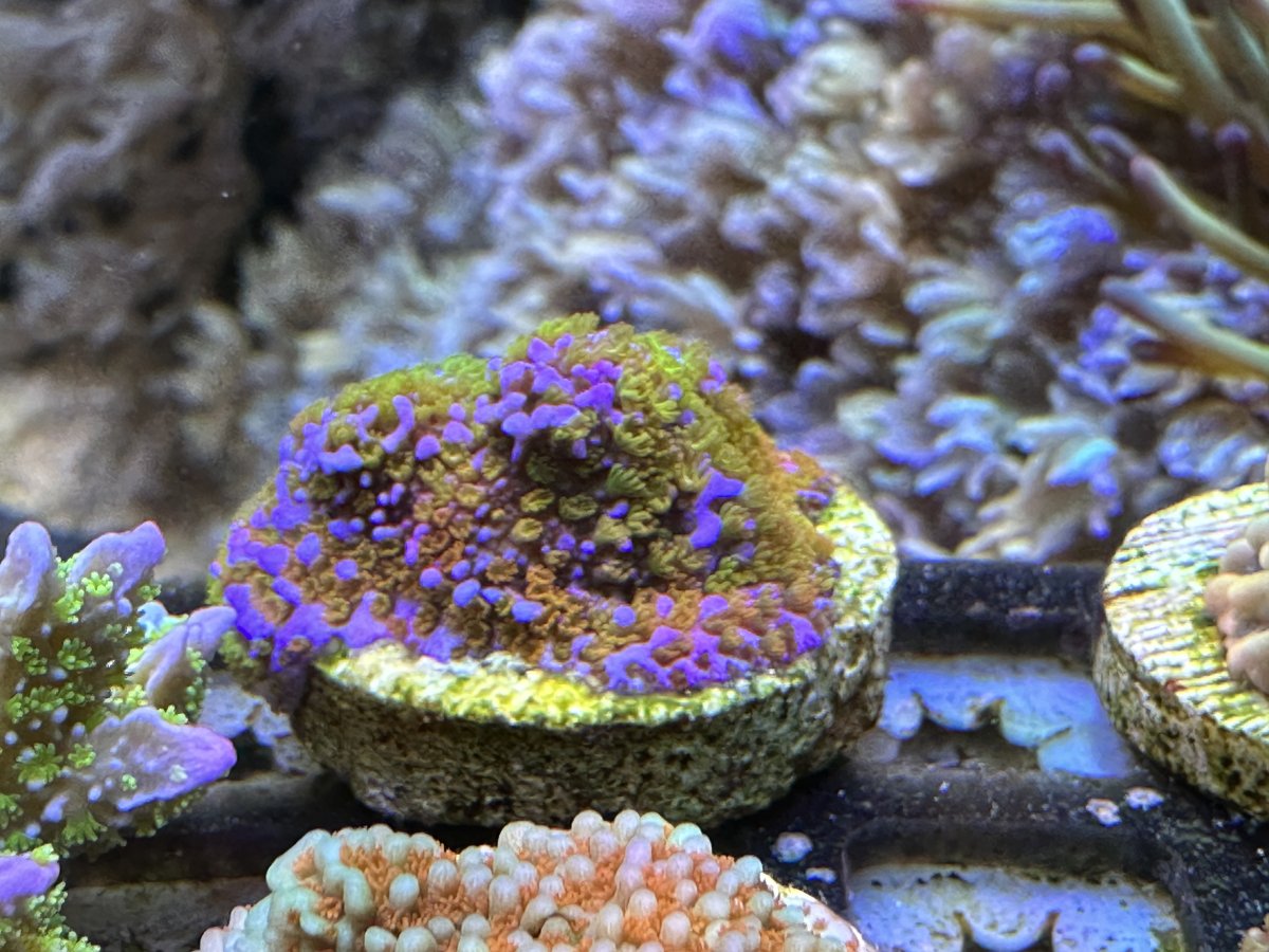 IMG_0011.jpeg