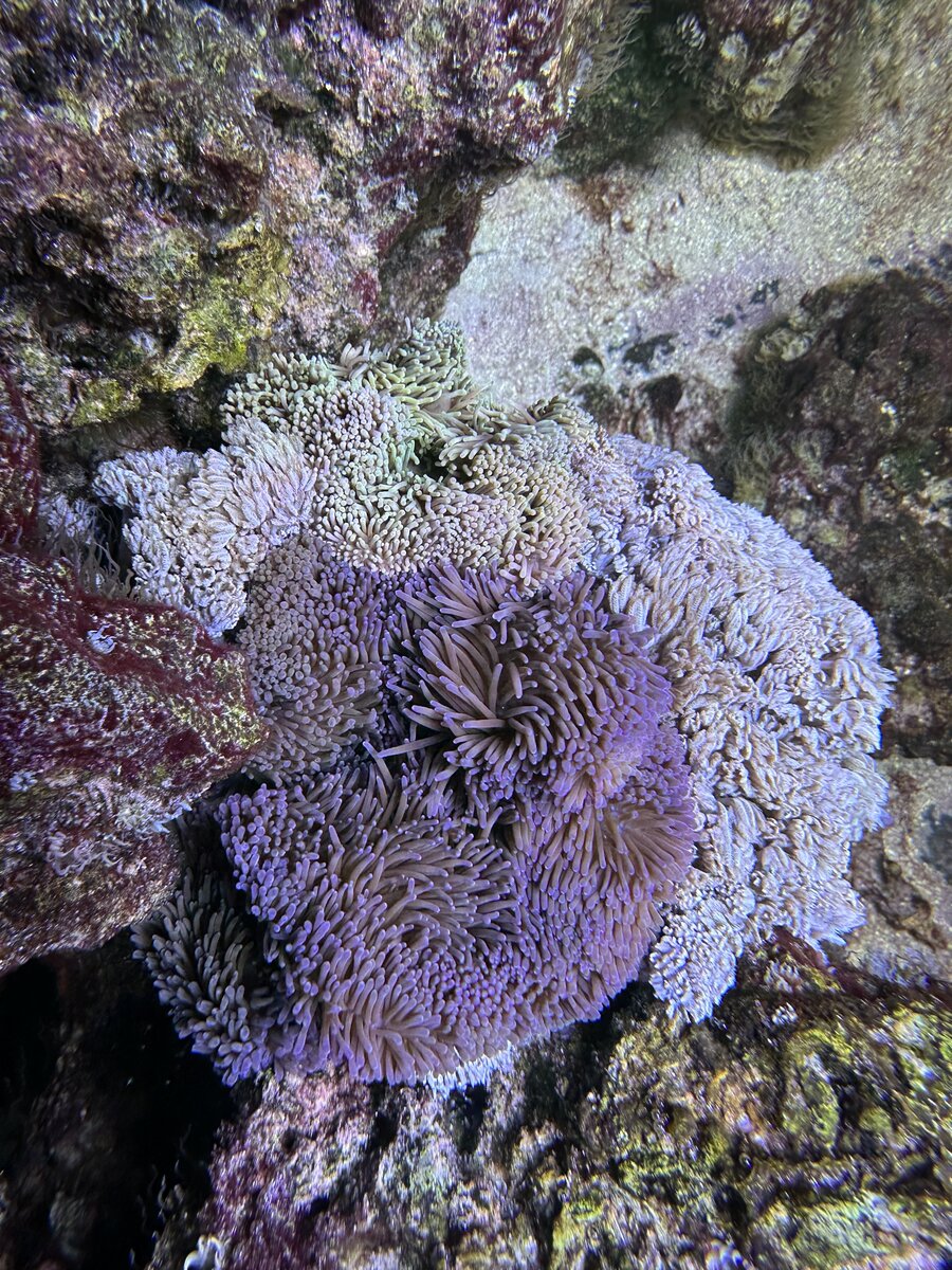 IMG_0015.jpeg