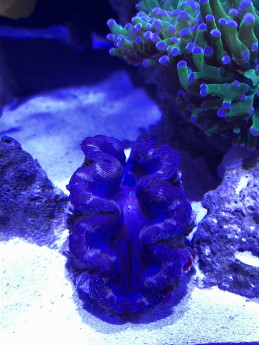 IMG_0015.jpeg