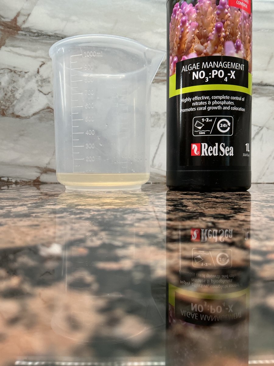 IMG_0019.jpeg