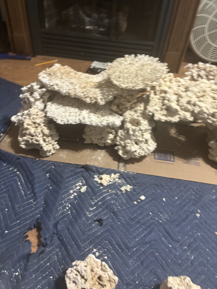 IMG_0020.jpeg