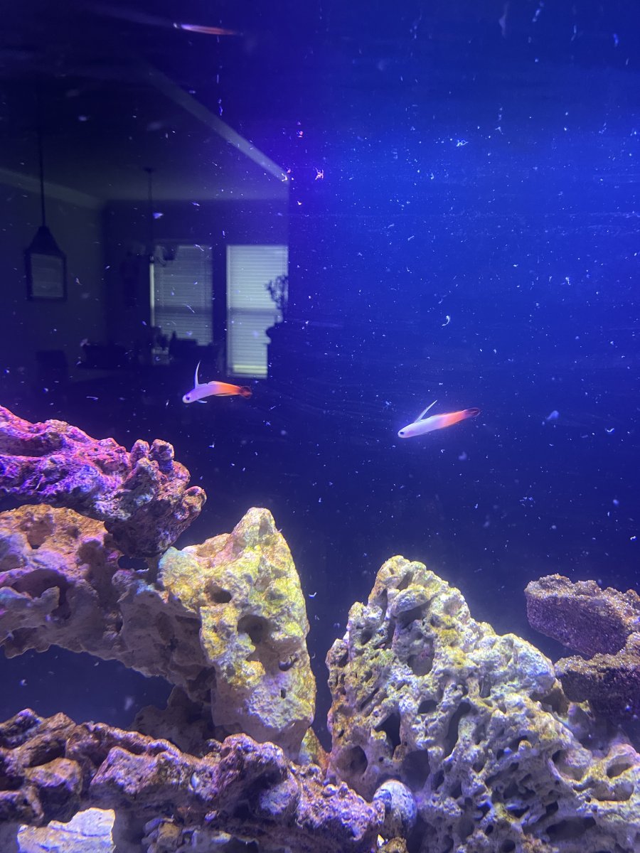 IMG_0023.jpeg