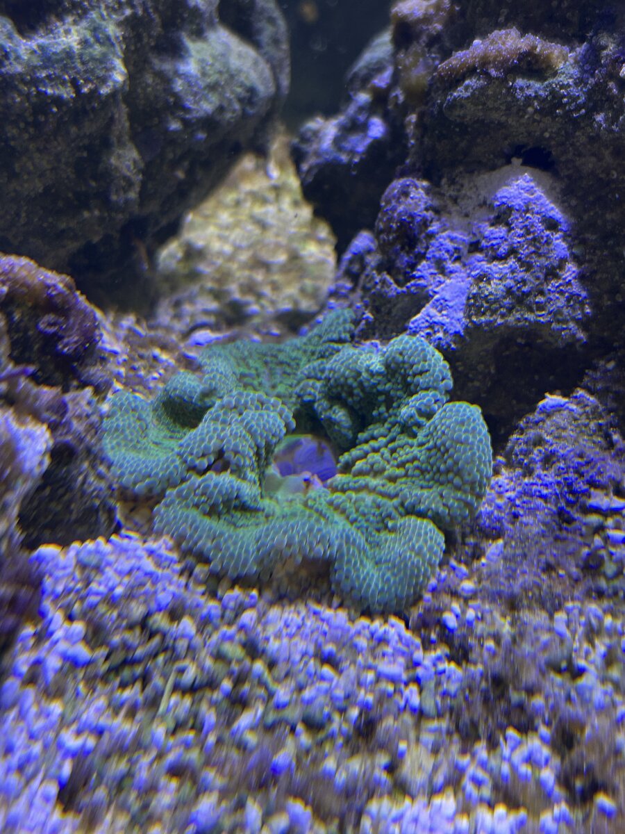 IMG_0026.jpeg