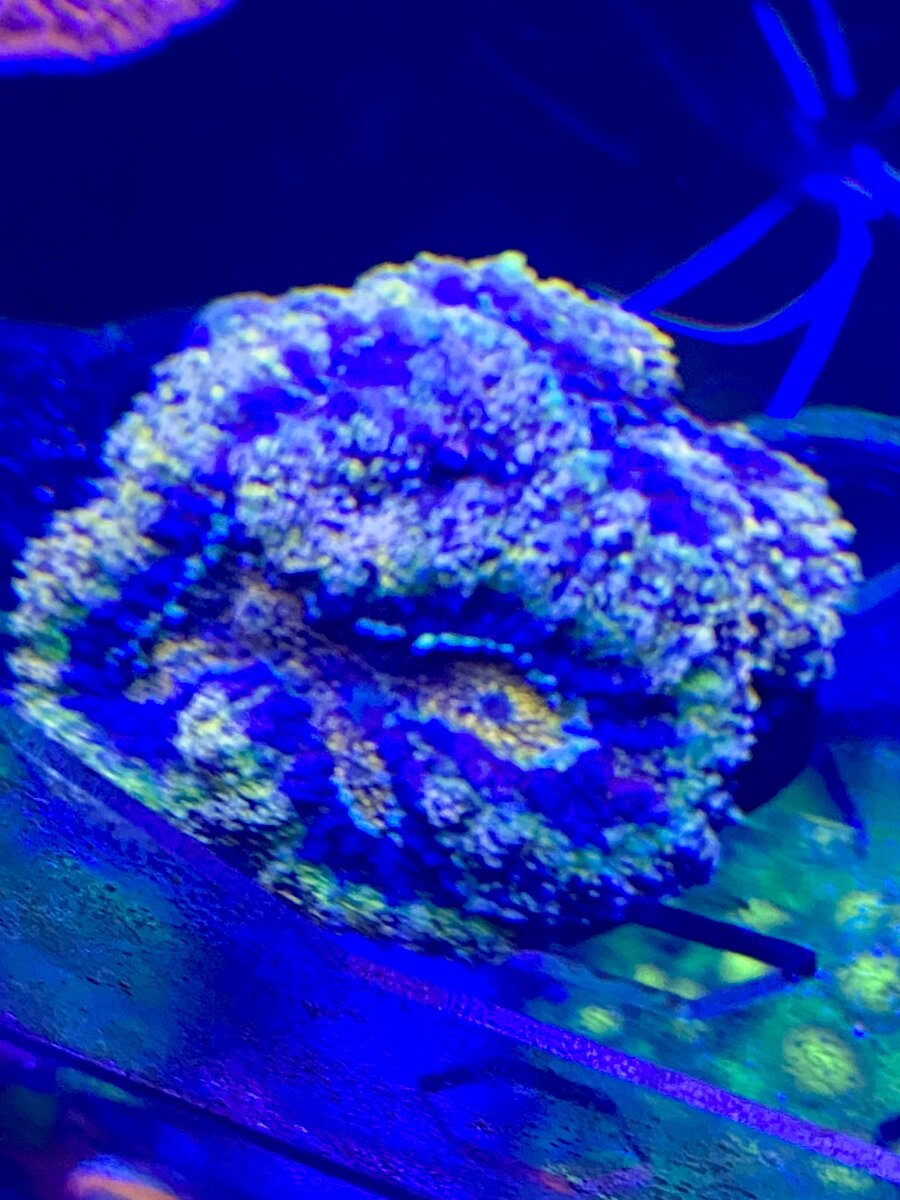 IMG_0028.jpeg