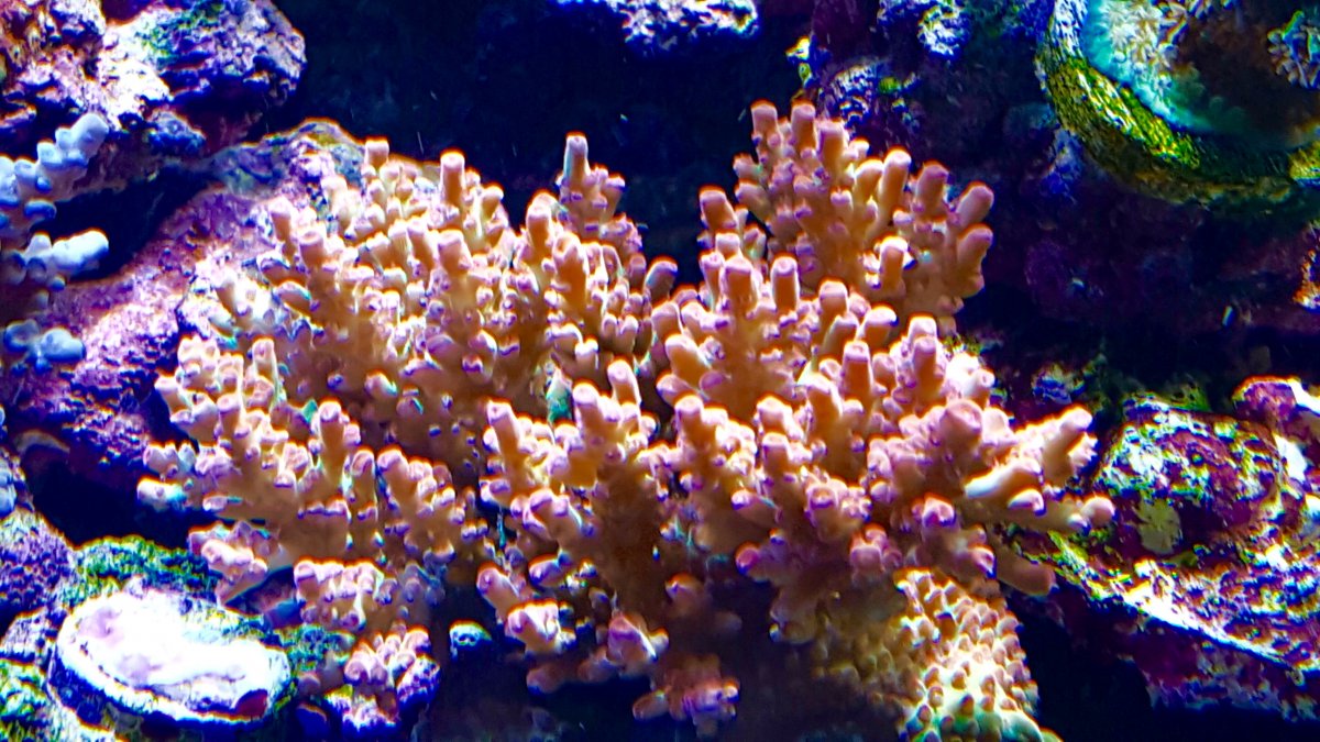 IMG_0028.JPG