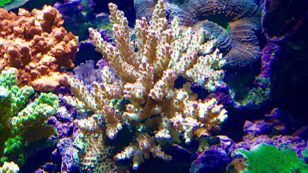 IMG_0030.JPG