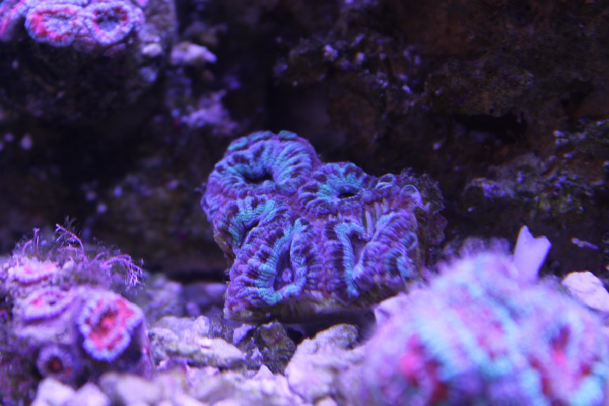 IMG_0032.JPG