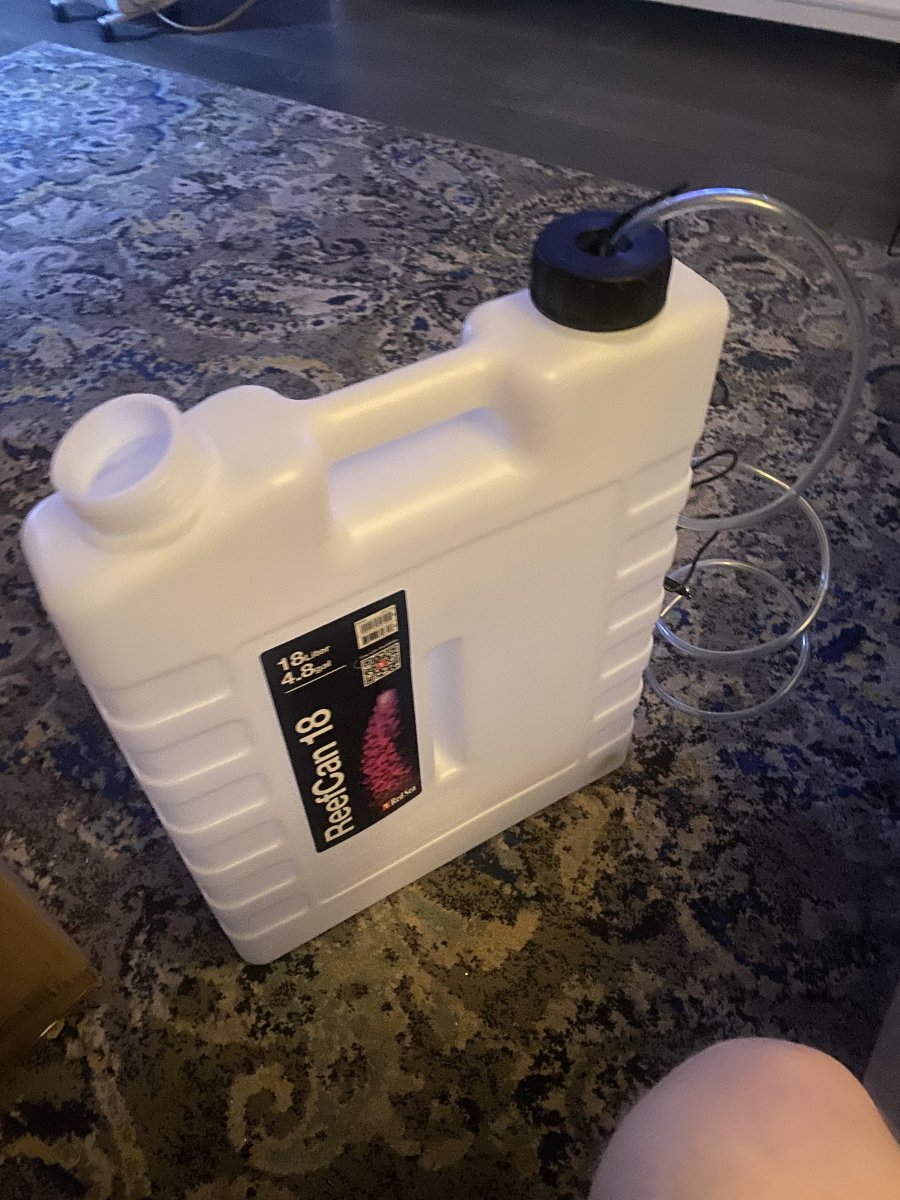 IMG_0036.jpeg