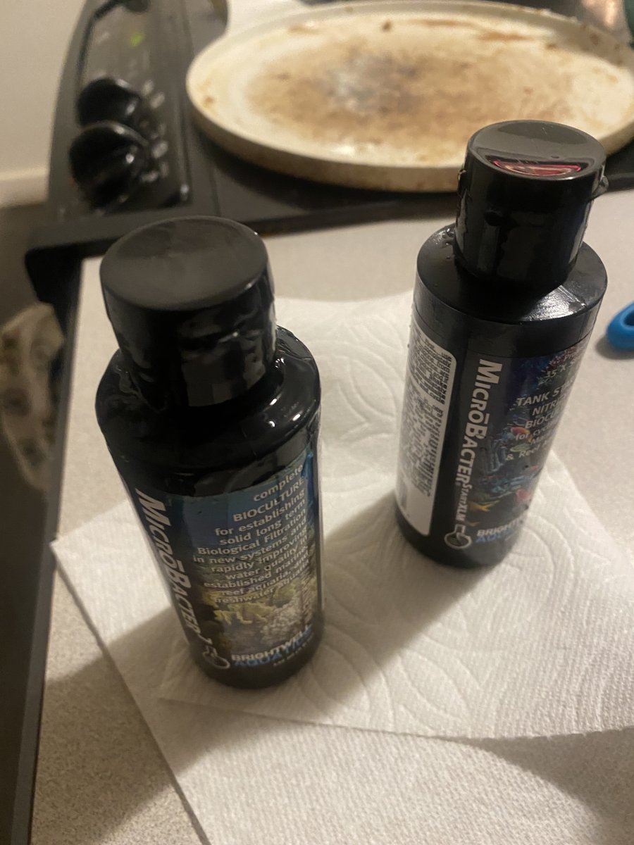 IMG_0040.jpeg