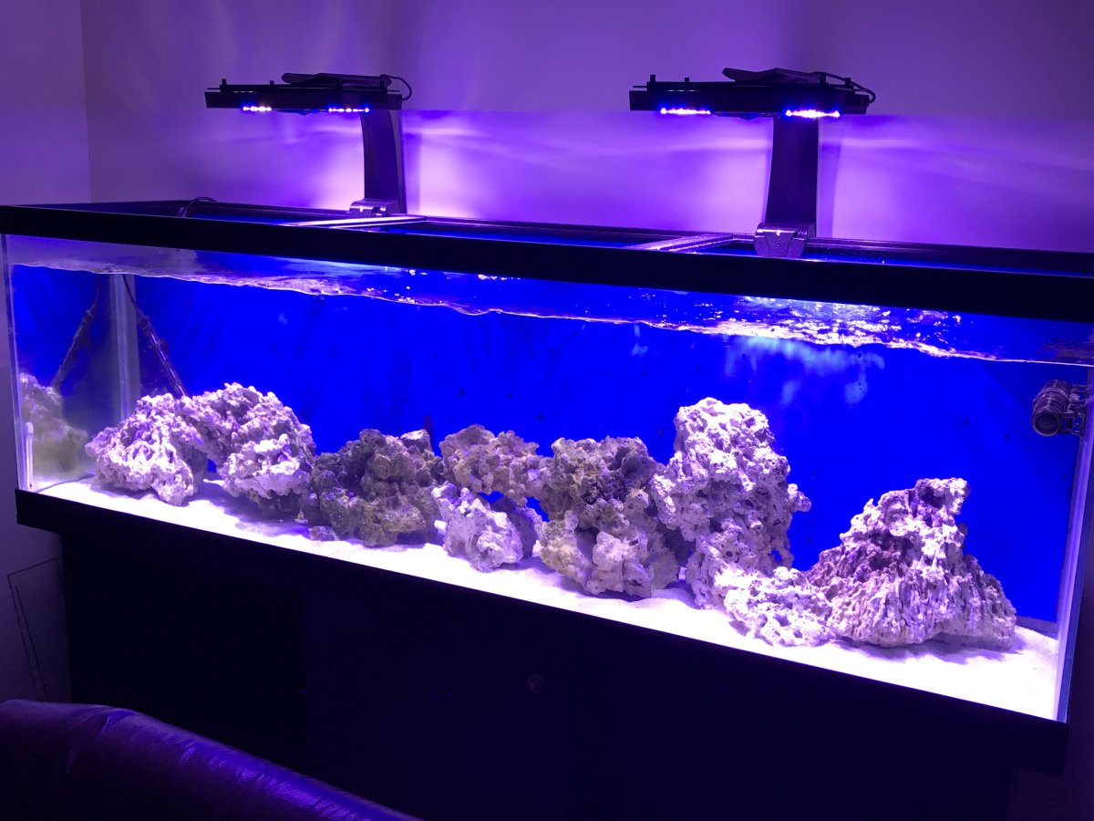 Cycling Reef Tank How to cycle a nano reef tank safely