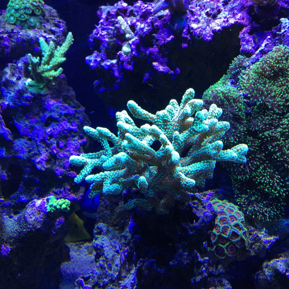 IMG_0041.JPG