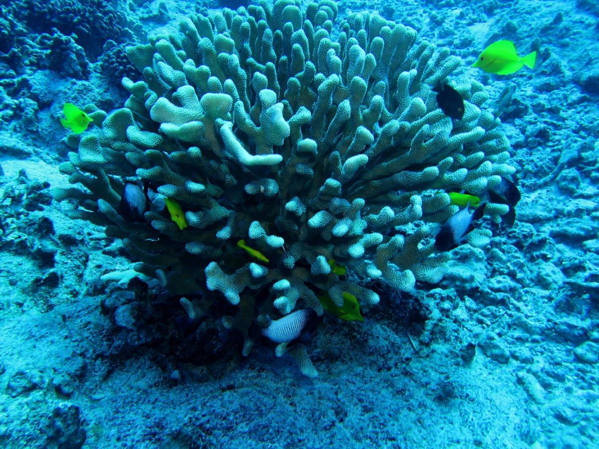 IMG_0044.JPG