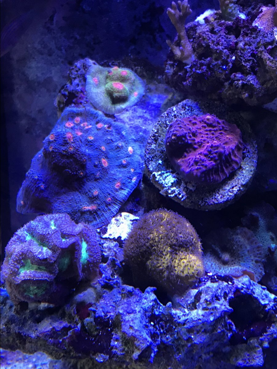 IMG_0046.JPG