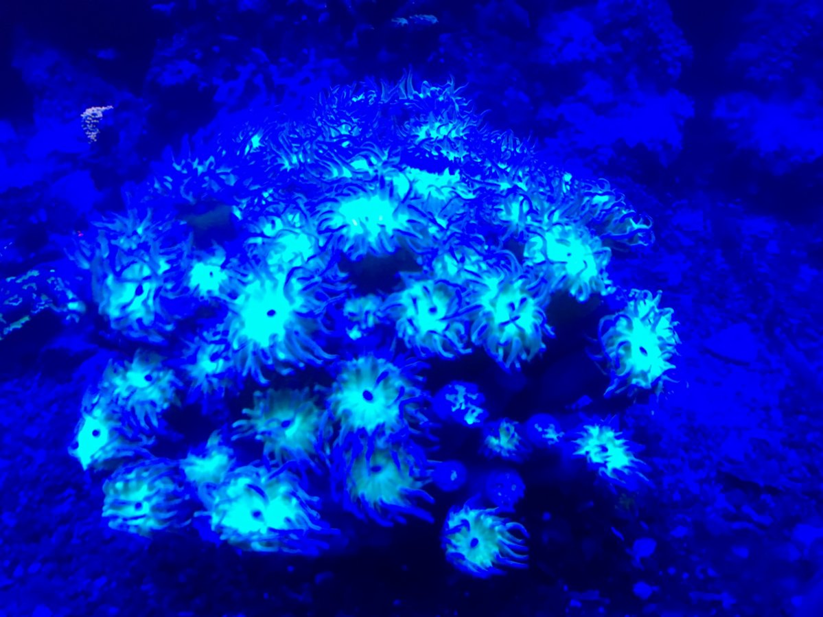 IMG_0047.JPG