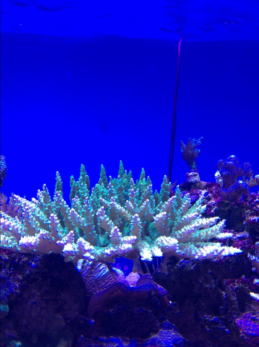 IMG_0048.JPG