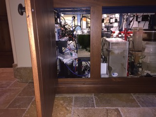 IMG_0050.jpeg
