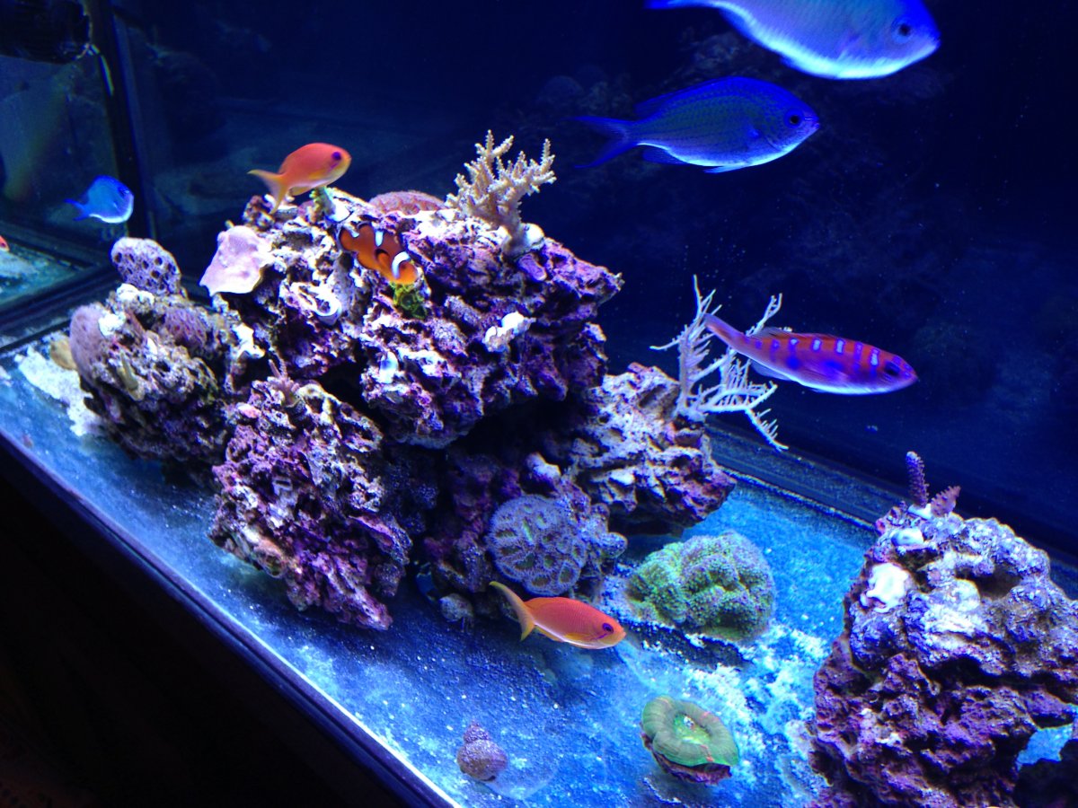 IMG_0053.JPG