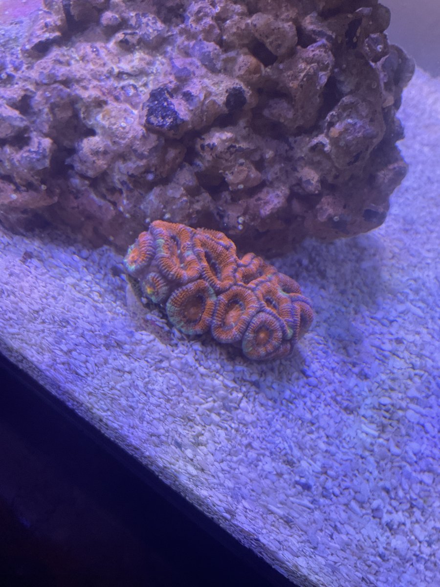IMG_0057.jpeg