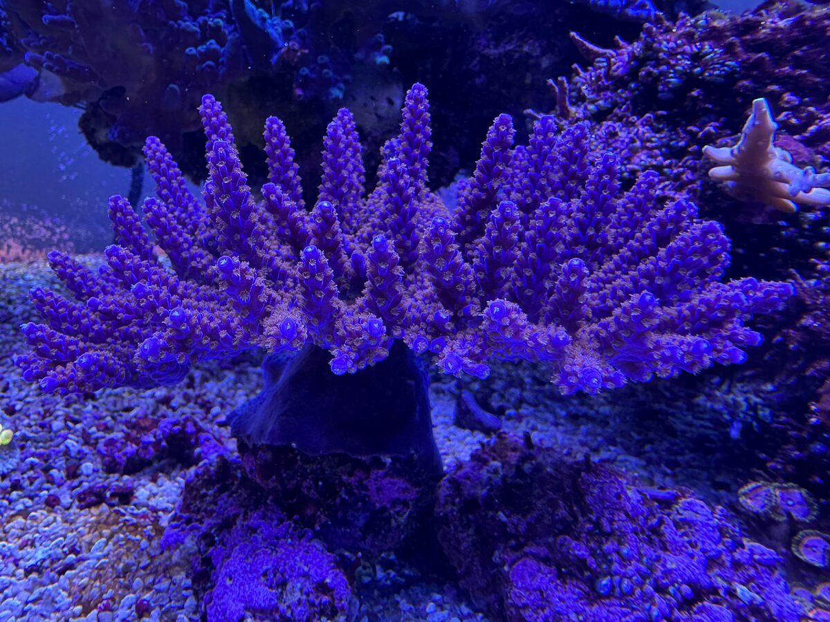 IMG_0057.jpeg