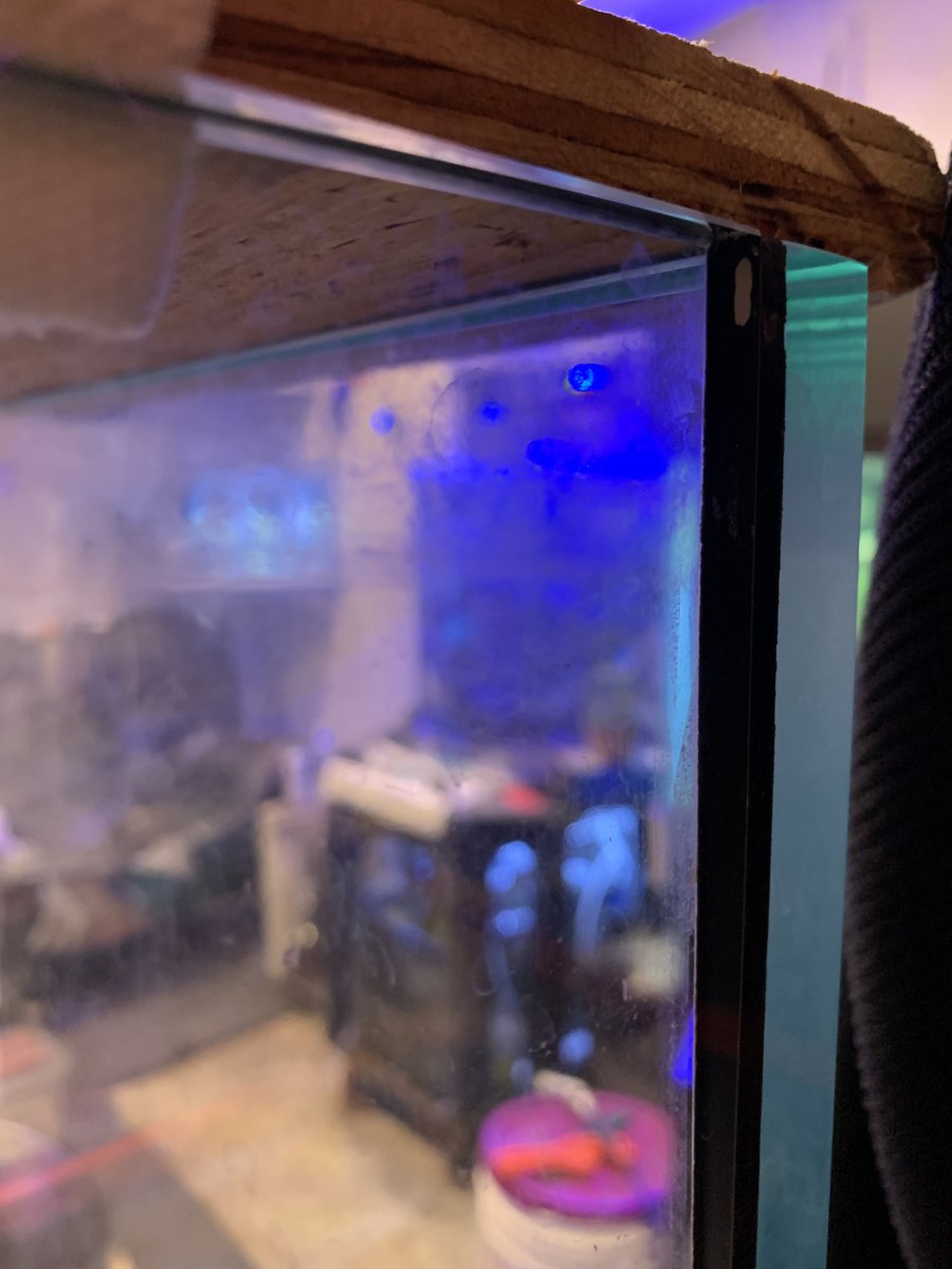 IMG_0069.jpeg