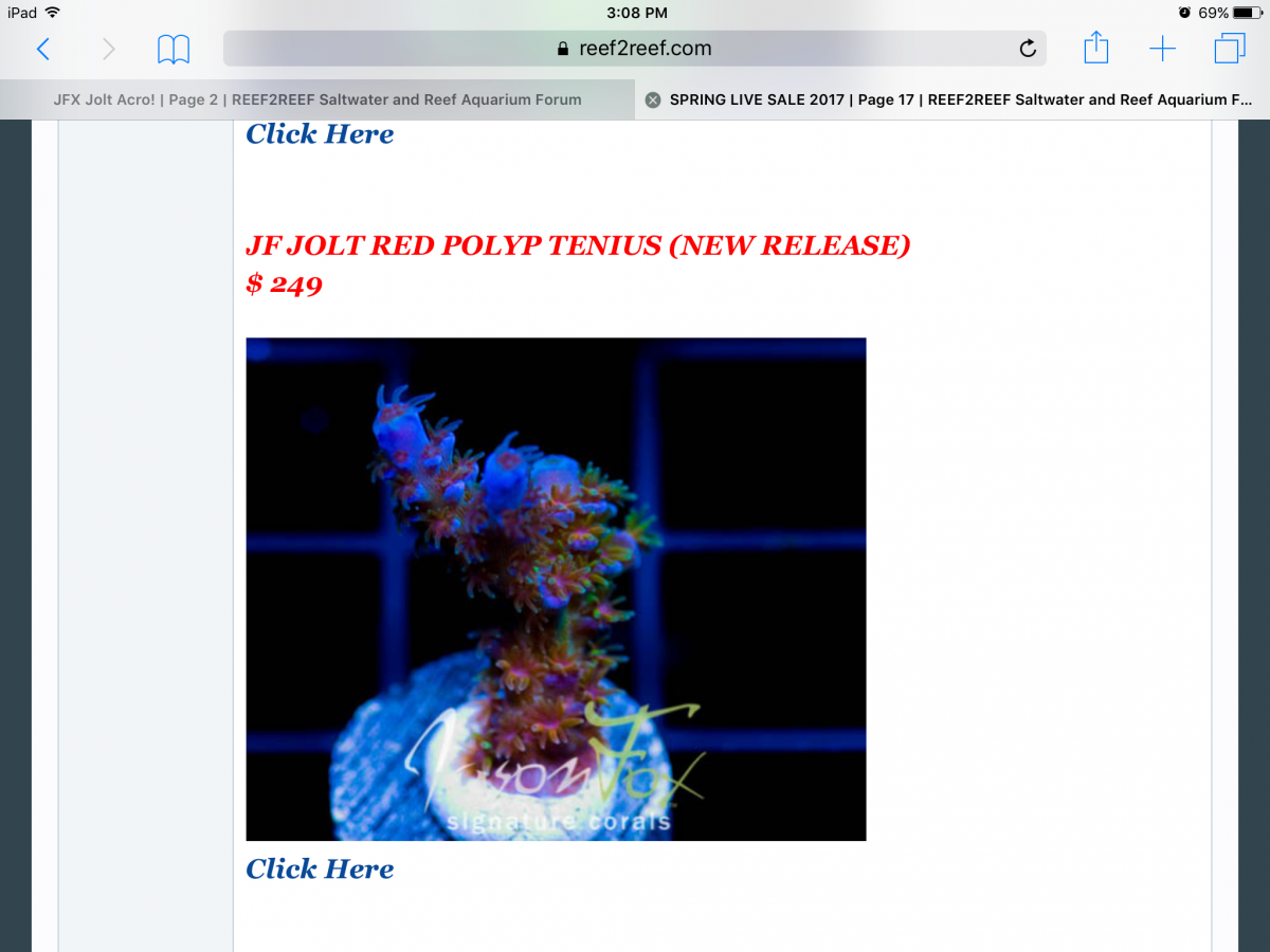IMG_0074.PNG