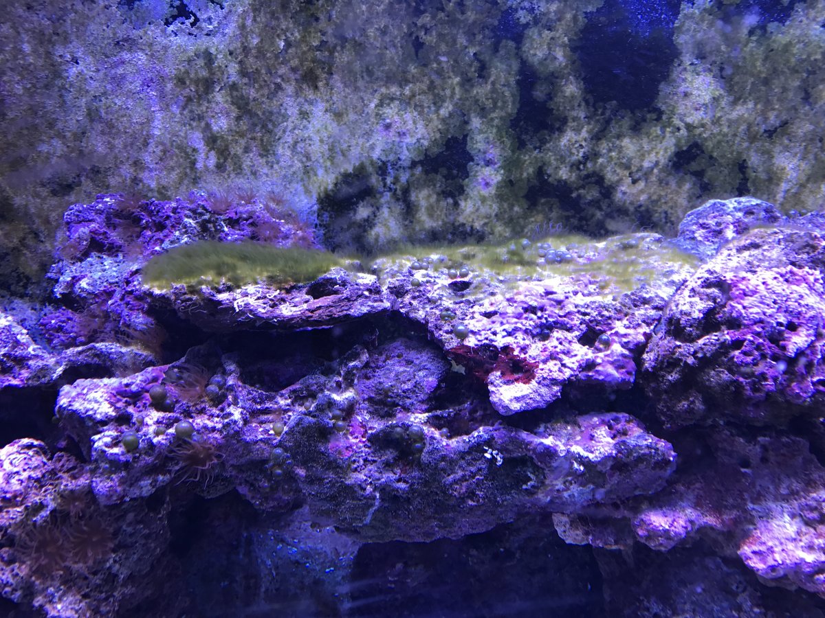 IMG_0075.jpeg