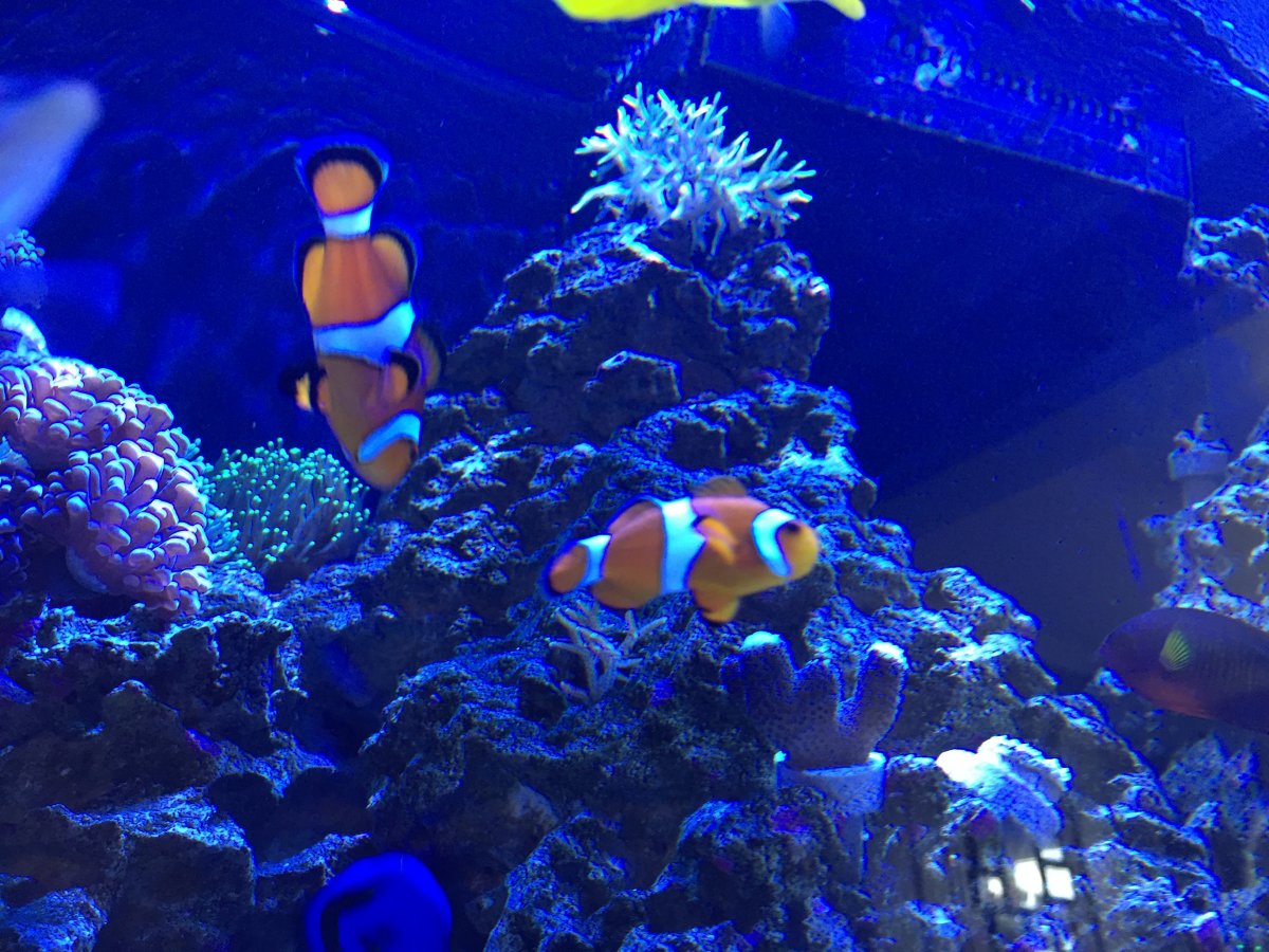 IMG_0077.JPG