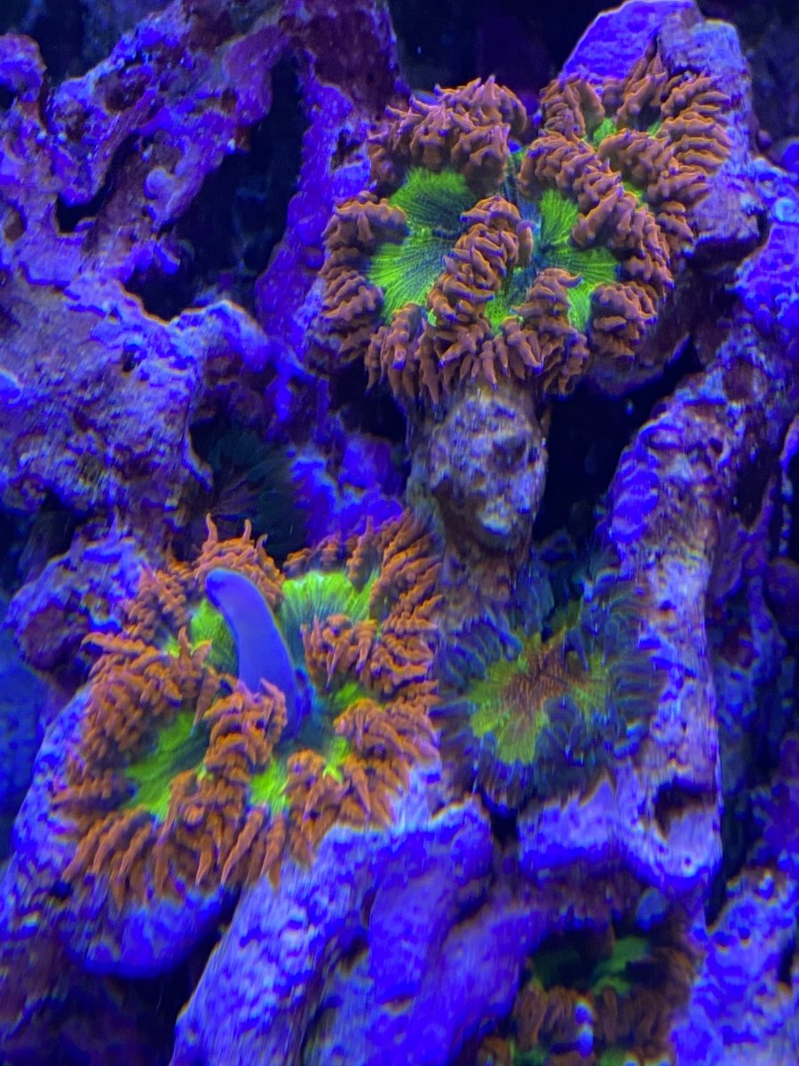 IMG_0080.jpeg