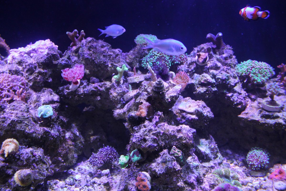IMG_0089.JPG