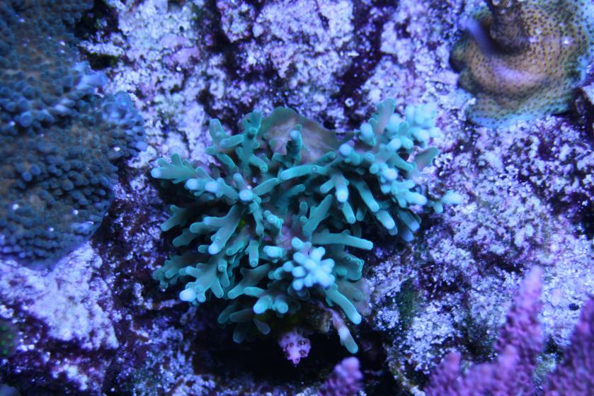 IMG_0090 2.jpg