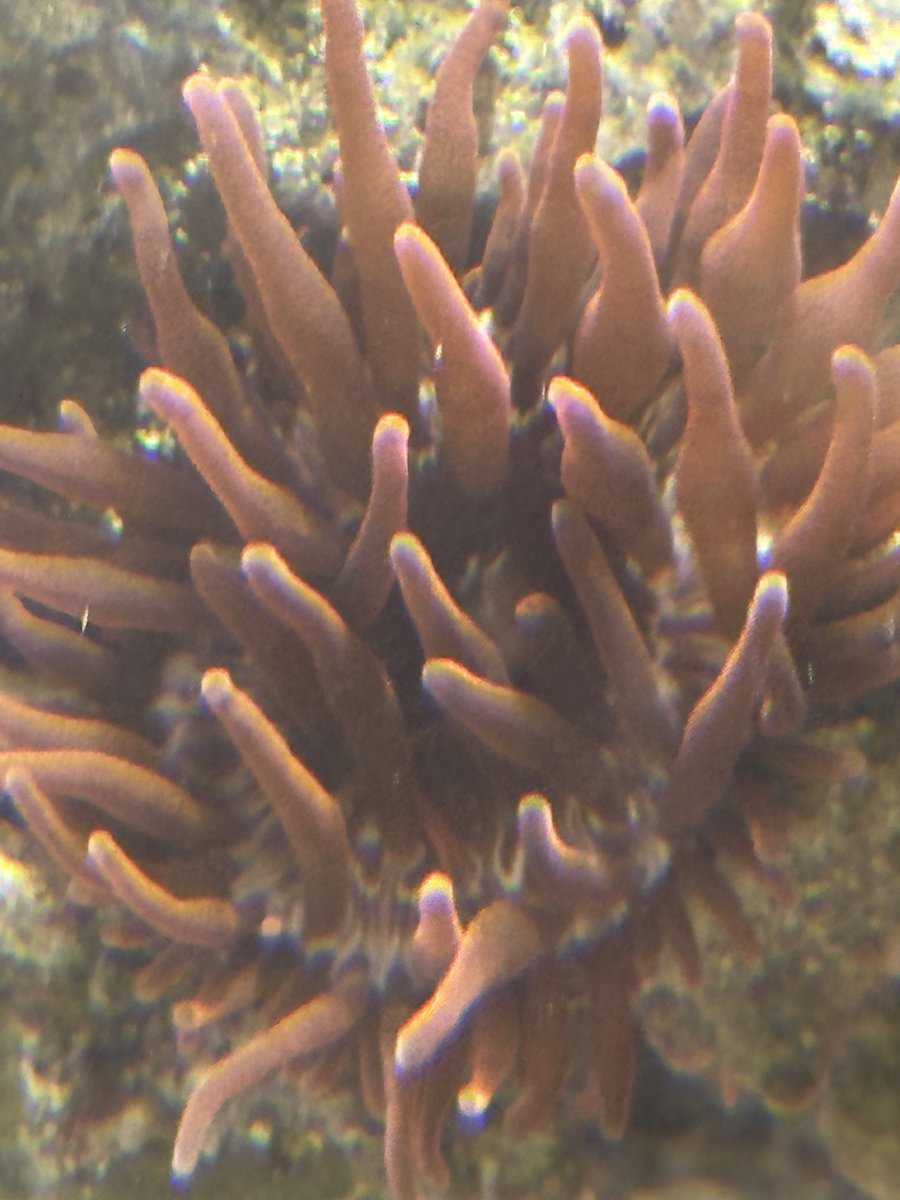 IMG_0091.jpeg