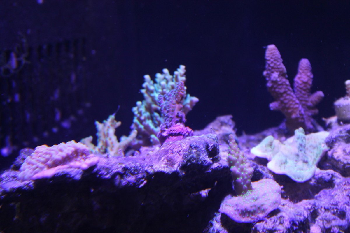 IMG_0093.JPG