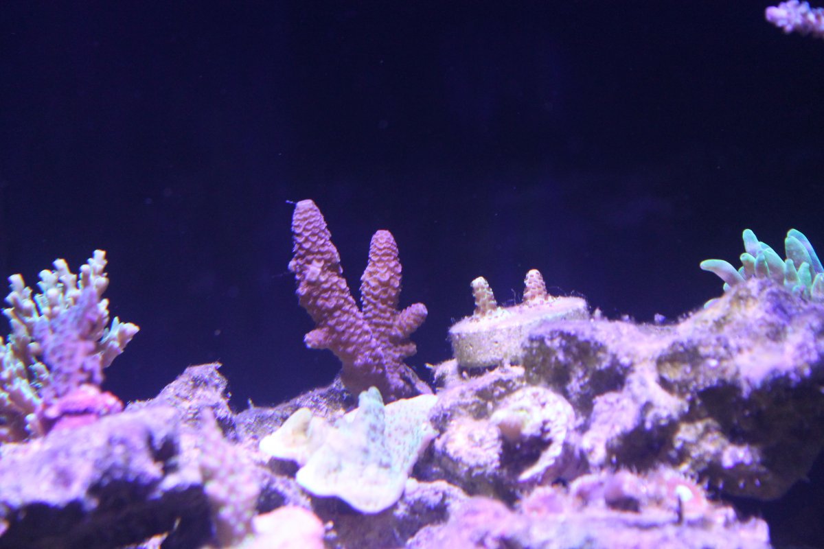 IMG_0095.JPG