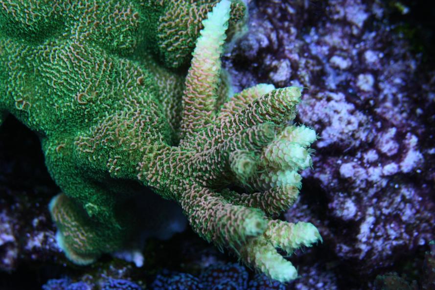 IMG_0097 4.jpg