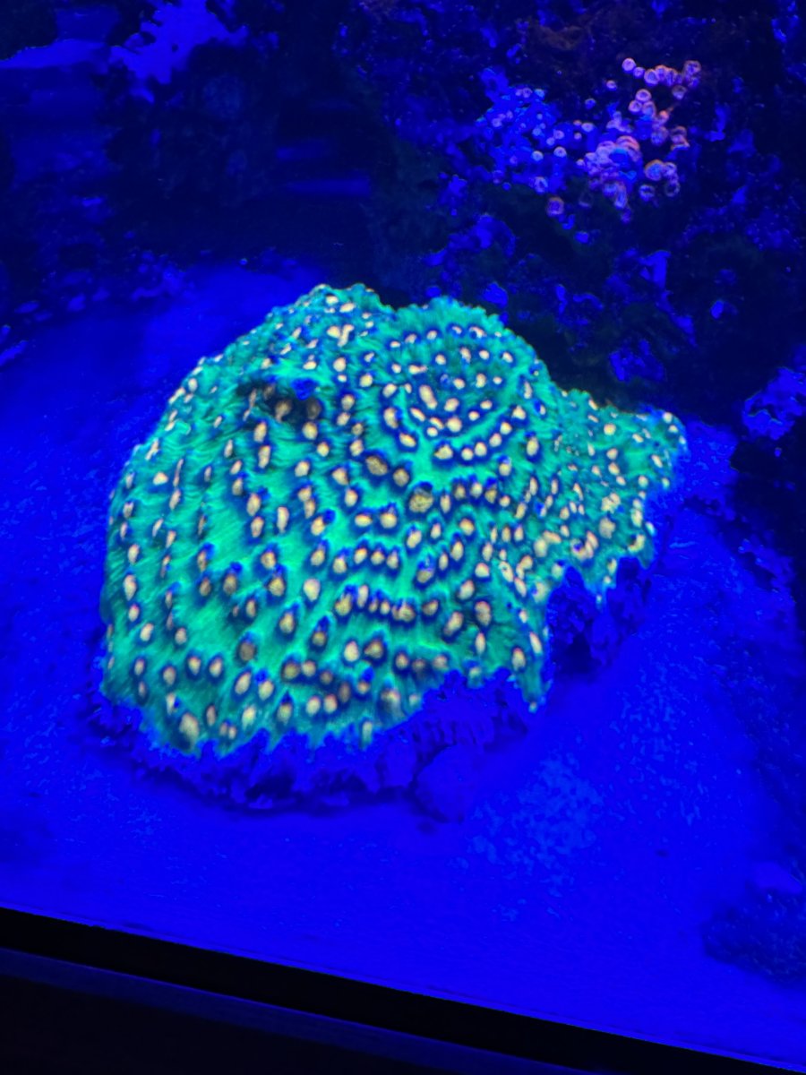 IMG_0099.jpeg