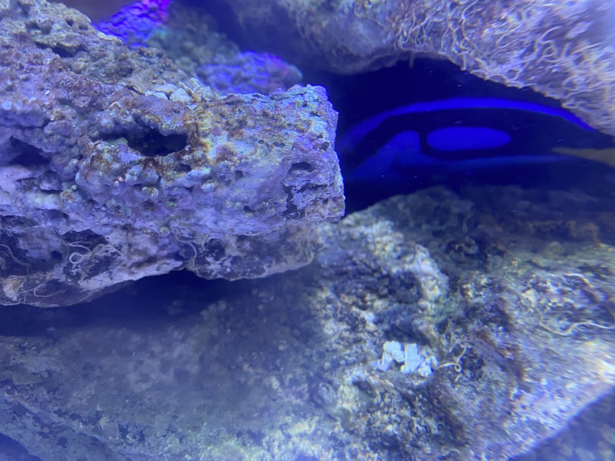 IMG_0100.JPEG