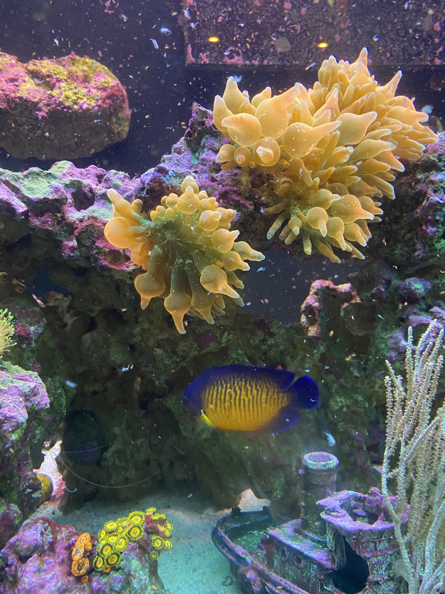 IMG_0101.jpeg