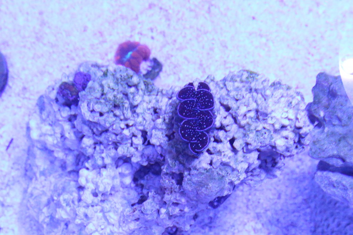 IMG_0108.JPG