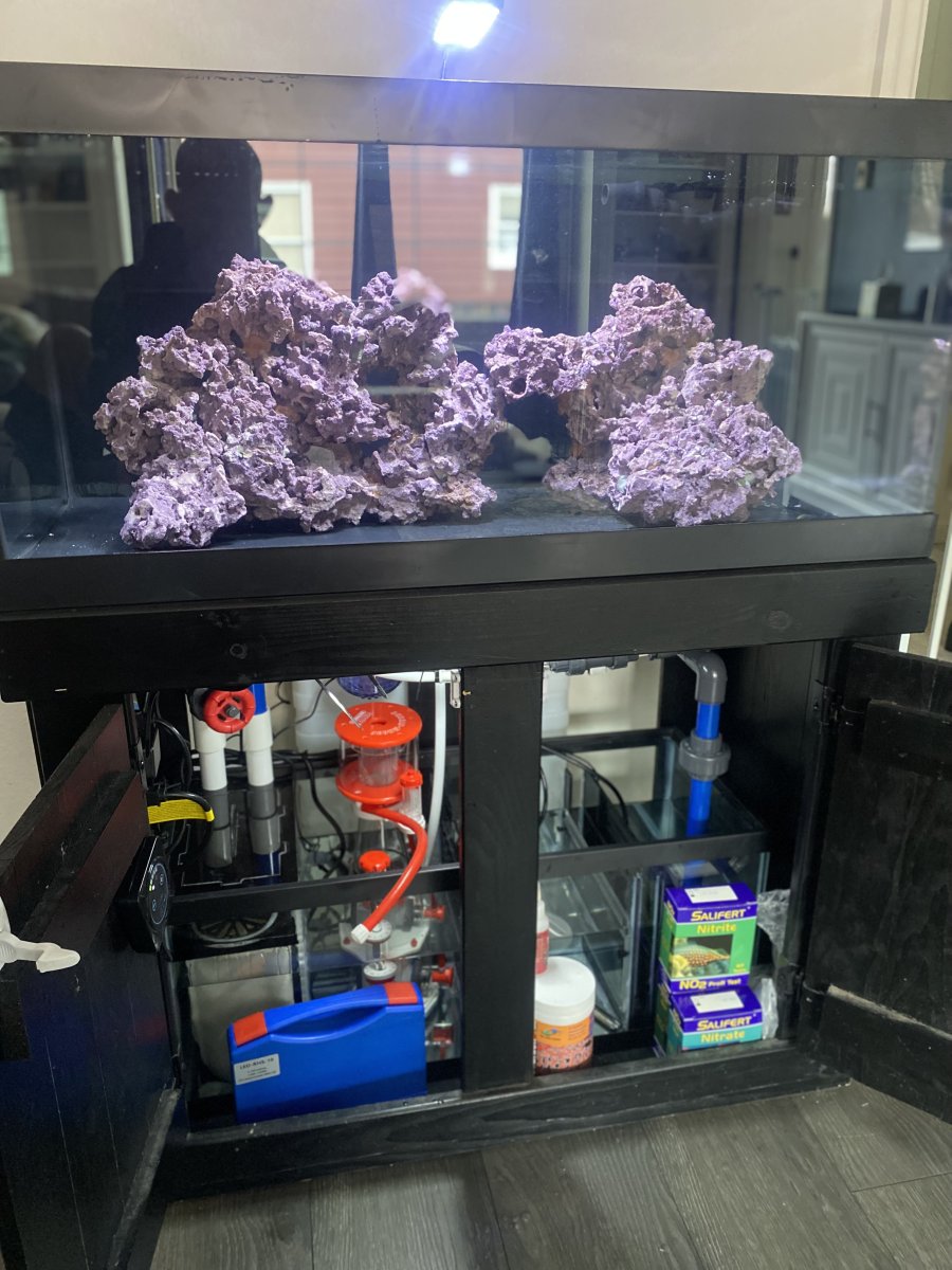 IMG_0109.jpeg