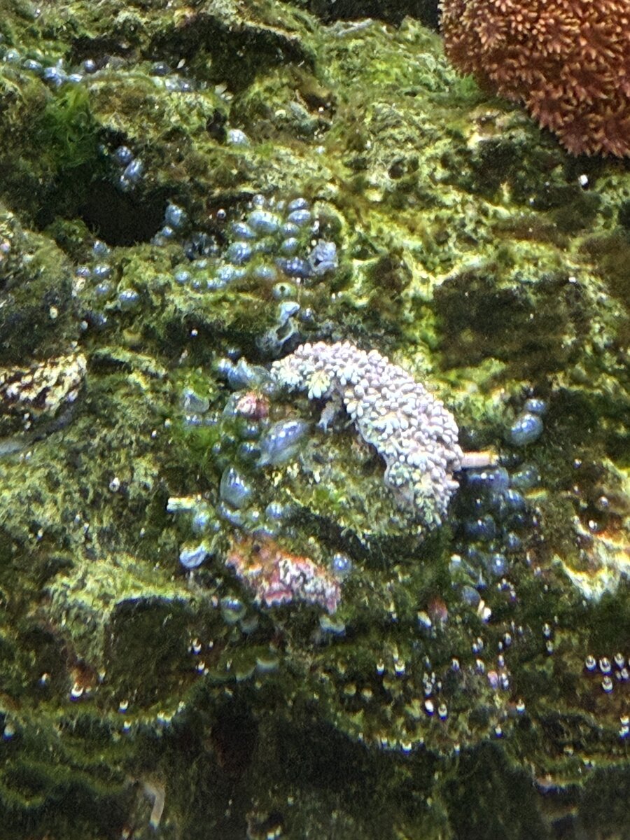 IMG_0109.jpeg